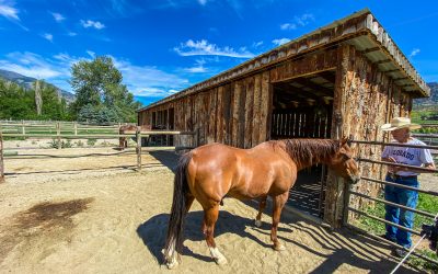 205 GREASEWOOD AVENUE Horse Farm for sale in Osoyoos