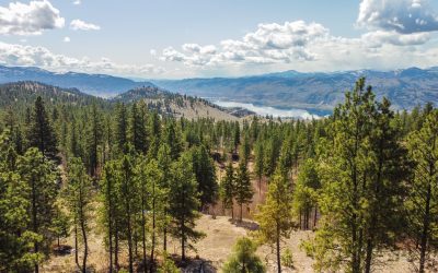 250 LONGJOE RD. Lot for sale in Osoyoos